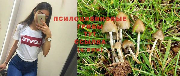 бошки Абаза