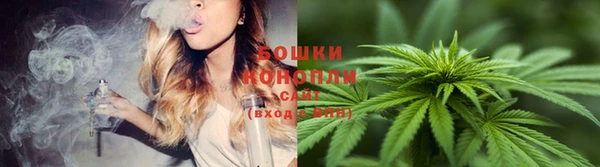 бошки Абаза
