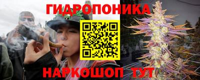 молекула духа Волгодонск