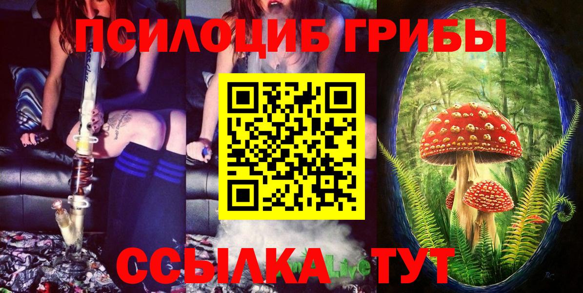 Псилоцибиновые грибы мухоморы Зеленогорск