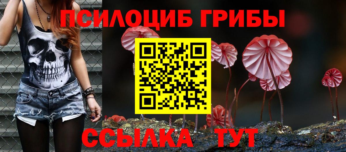Зеленогорск  Галлюциногенные грибы мицелий  хочу наркоту  Вход с VPN 